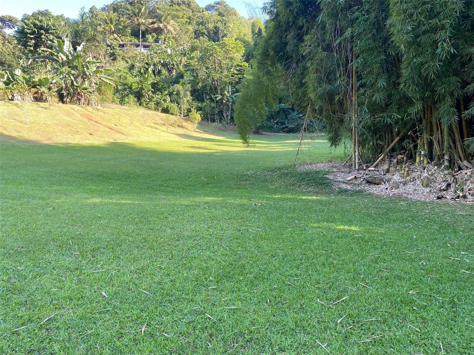 Carr. 108, Camino Adelina Bo. Río Cañas Property Photo 4