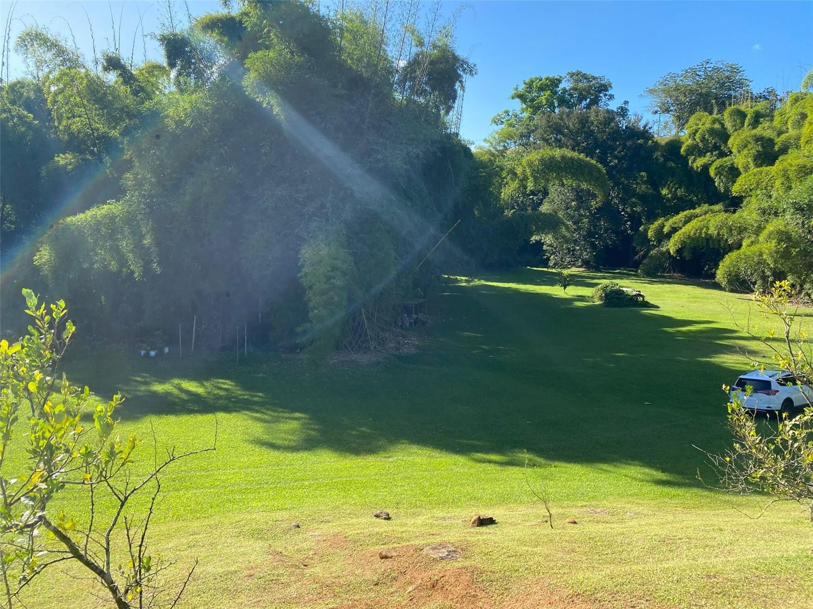 Carr. 108, Camino Adelina Bo. Río Cañas Property Photo 5