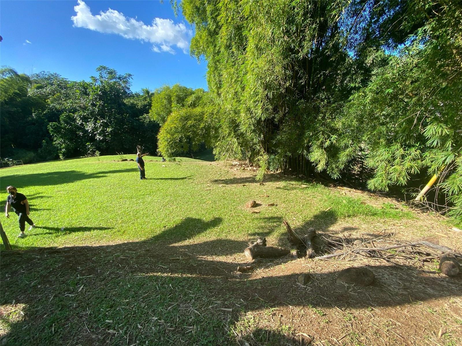 Carr. 108, Camino Adelina Bo. Río Cañas Property Photo 18