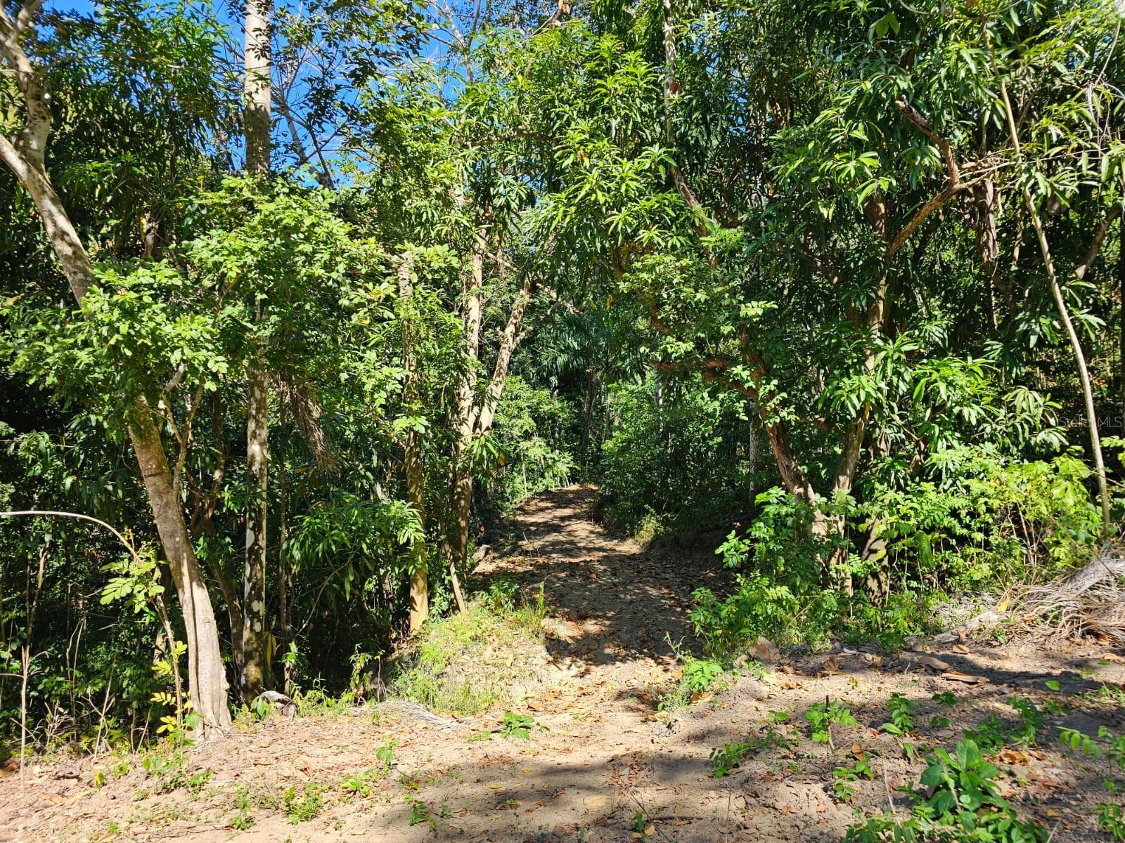 Road 115 Property Photo 9
