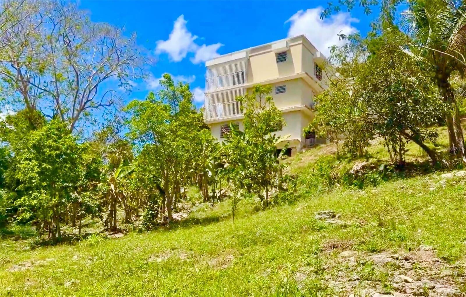 Carr. 111 Ramal 451 Km 0.2 Sect. Jimenez Bo. Eneas Property Photo 4