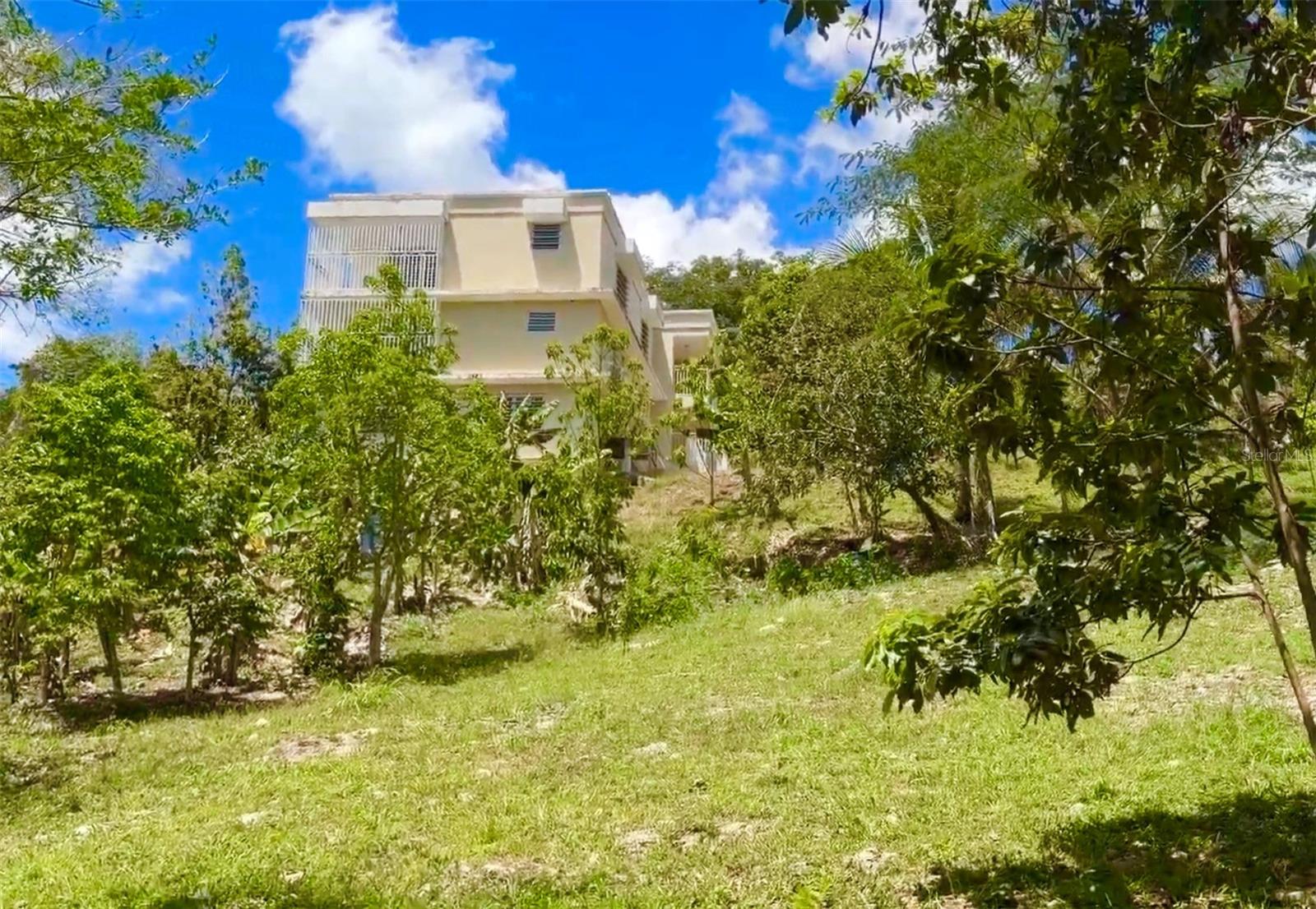 Carr. 111 Ramal 451 Km 0.2 Sect. Jimenez Bo. Eneas Property Photo 5