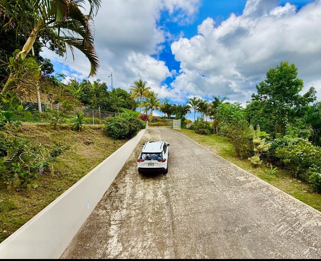 Carr. 111 Ramal 451 Km 0.2 Sect. Jimenez Bo. Eneas Property Photo 10