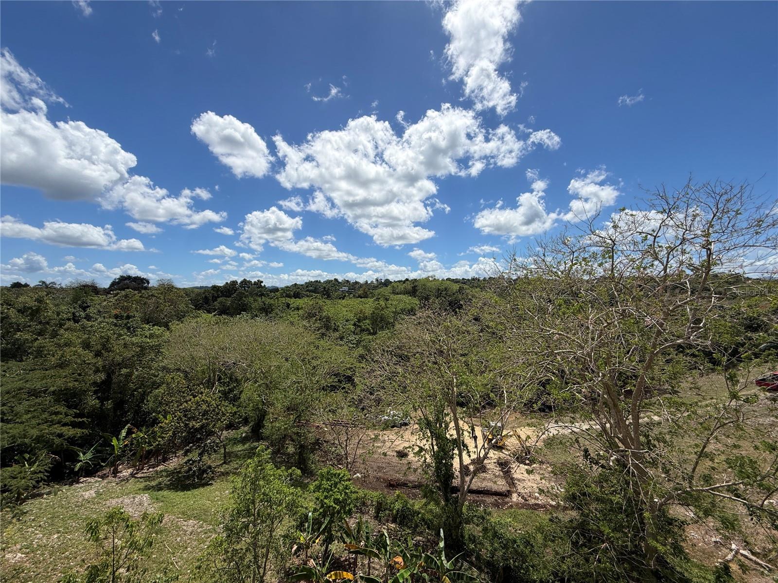 Carr. 111 Ramal 451 Km 0.2 Sect. Jimenez Bo. Eneas Property Photo 32