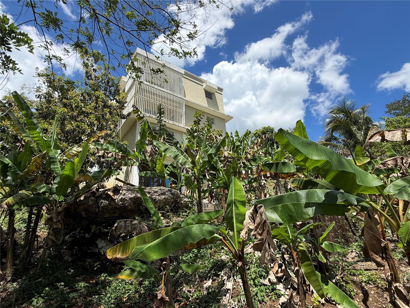 Carr. 111 Ramal 451 Km 0.2 Sect. Jimenez Bo. Eneas Property Photo 33