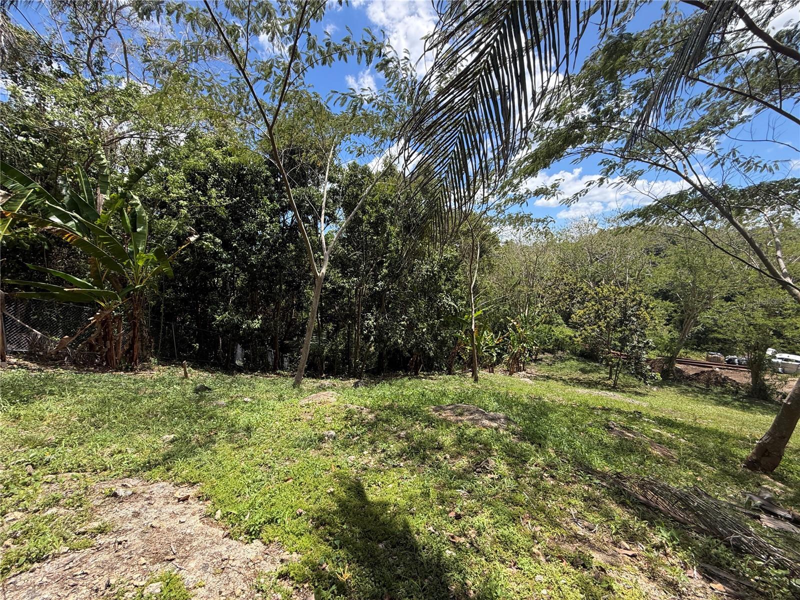 Carr. 111 Ramal 451 Km 0.2 Sect. Jimenez Bo. Eneas Property Photo 34