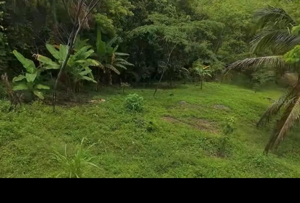 Carr. 111 Ramal 451 Km 0.2 Sect. Jimenez Bo. Eneas Property Photo 35