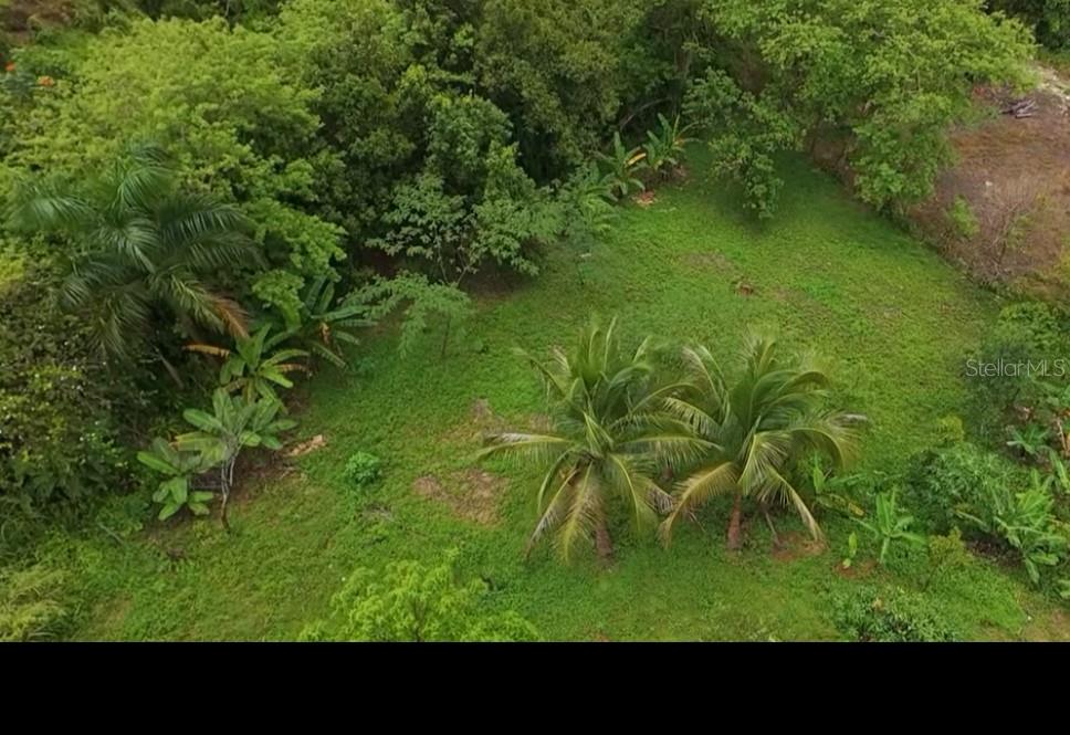 Carr. 111 Ramal 451 Km 0.2 Sect. Jimenez Bo. Eneas Property Photo 38