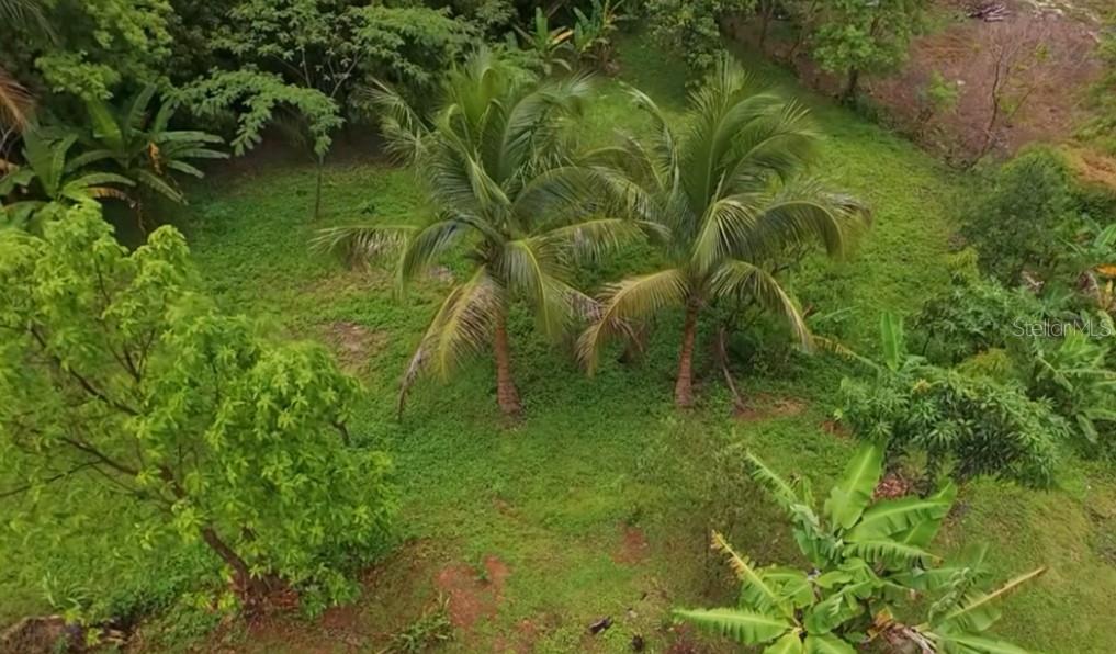 Carr. 111 Ramal 451 Km 0.2 Sect. Jimenez Bo. Eneas Property Photo 39