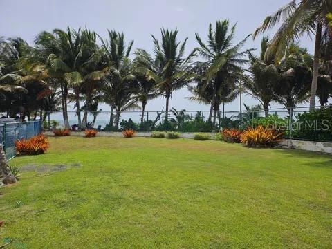 Las Picuas Beach Bo. Zorzal Orch #6 Property Photo 3