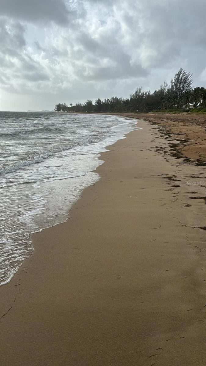 Las Picuas Beach Bo. Zorzal Orch #6 Property Photo 4