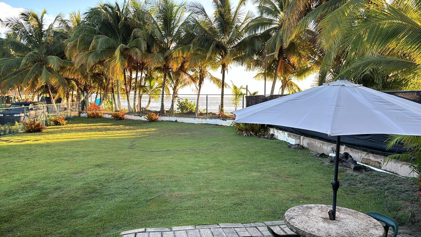 Las Picuas Beach Bo. Zorzal Orch #6 Property Photo 8