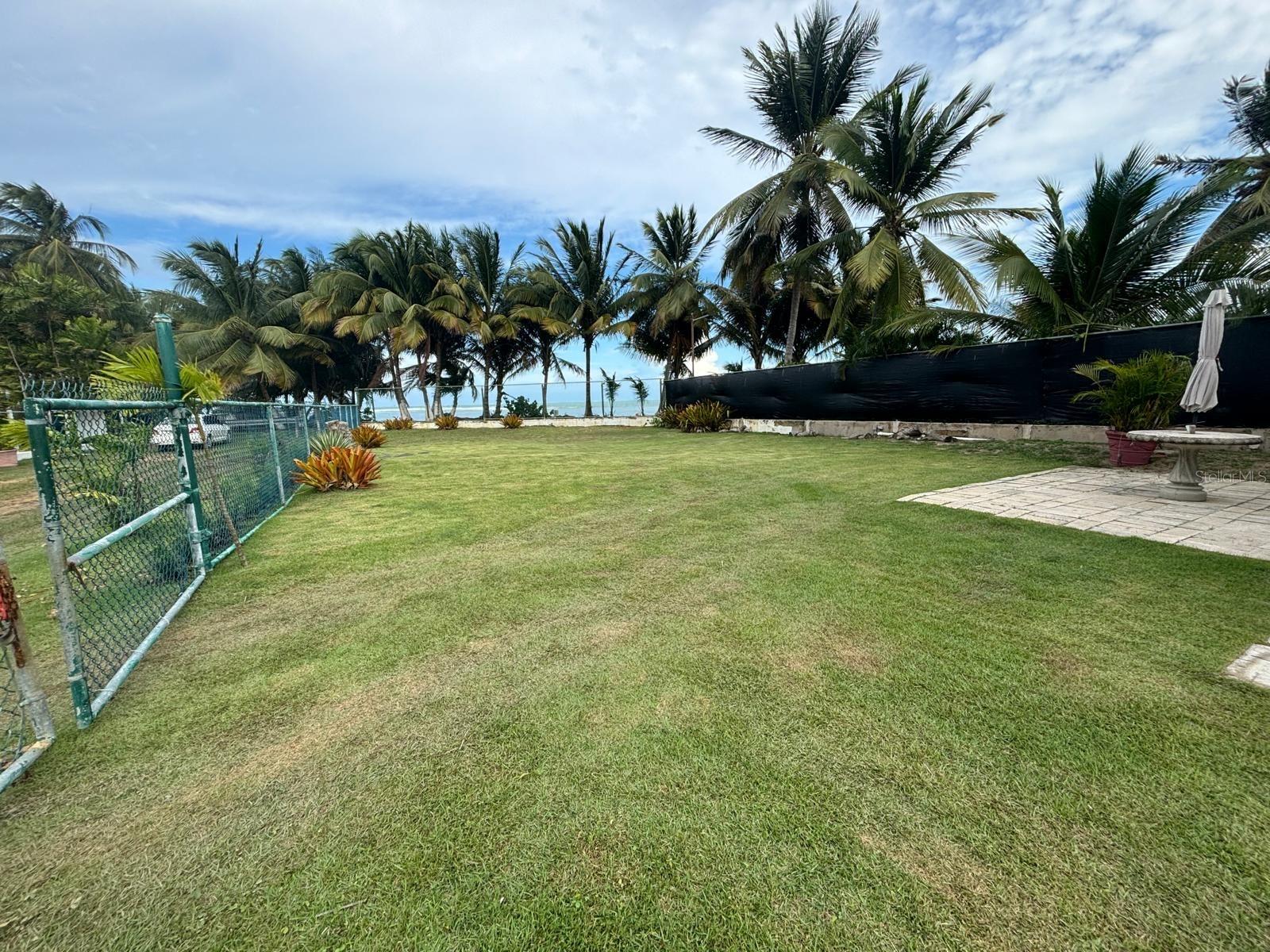 Las Picuas Beach Bo. Zorzal Orch #6 Property Photo 12