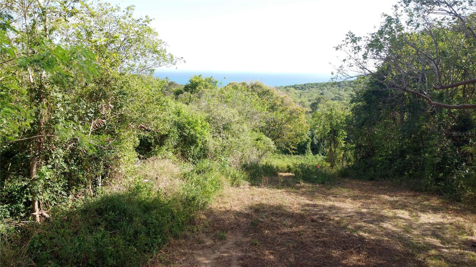 173 La Llave Road Property Photo 7
