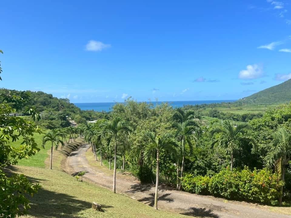 901 Amazing View House Property Photo 4