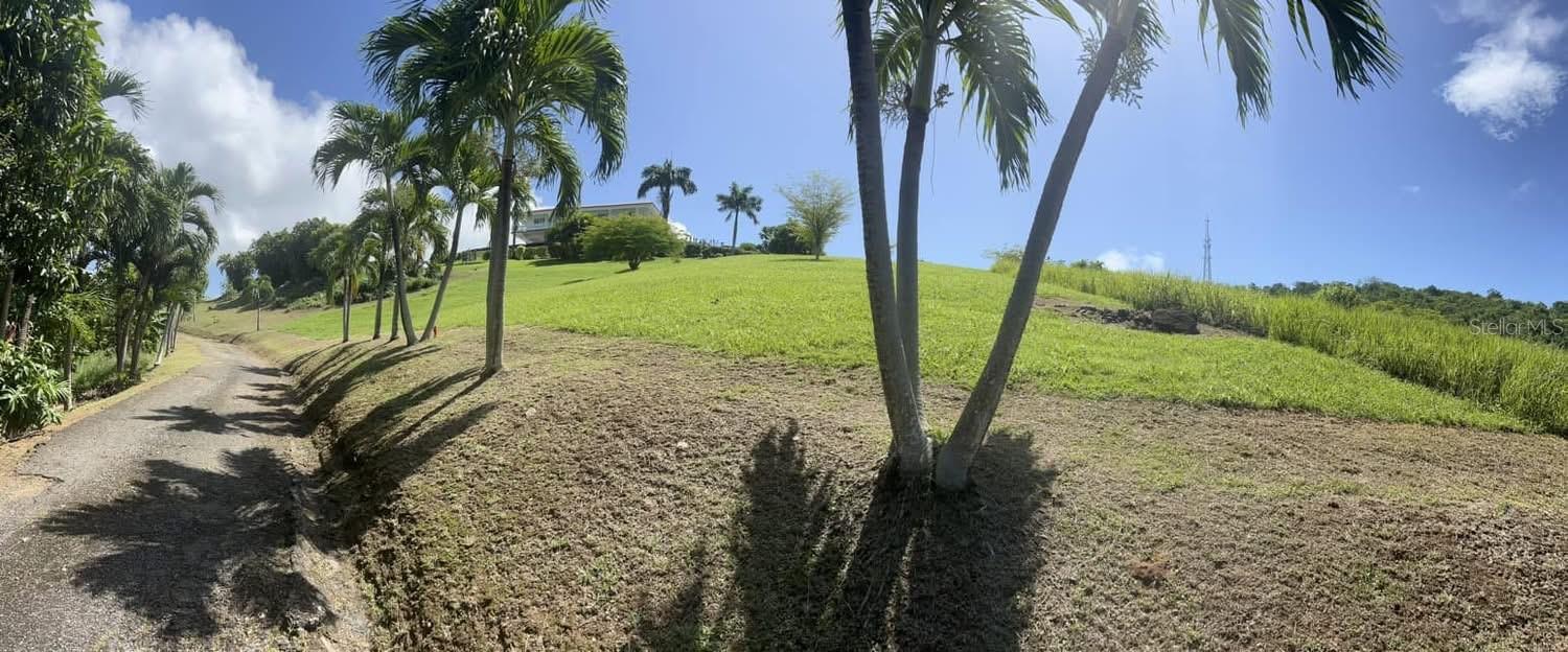 901 Amazing View House Property Photo 8