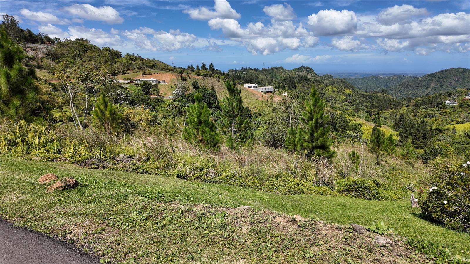 Carr 155 Km 33.1 Int Bo. Gato Property Photo 1