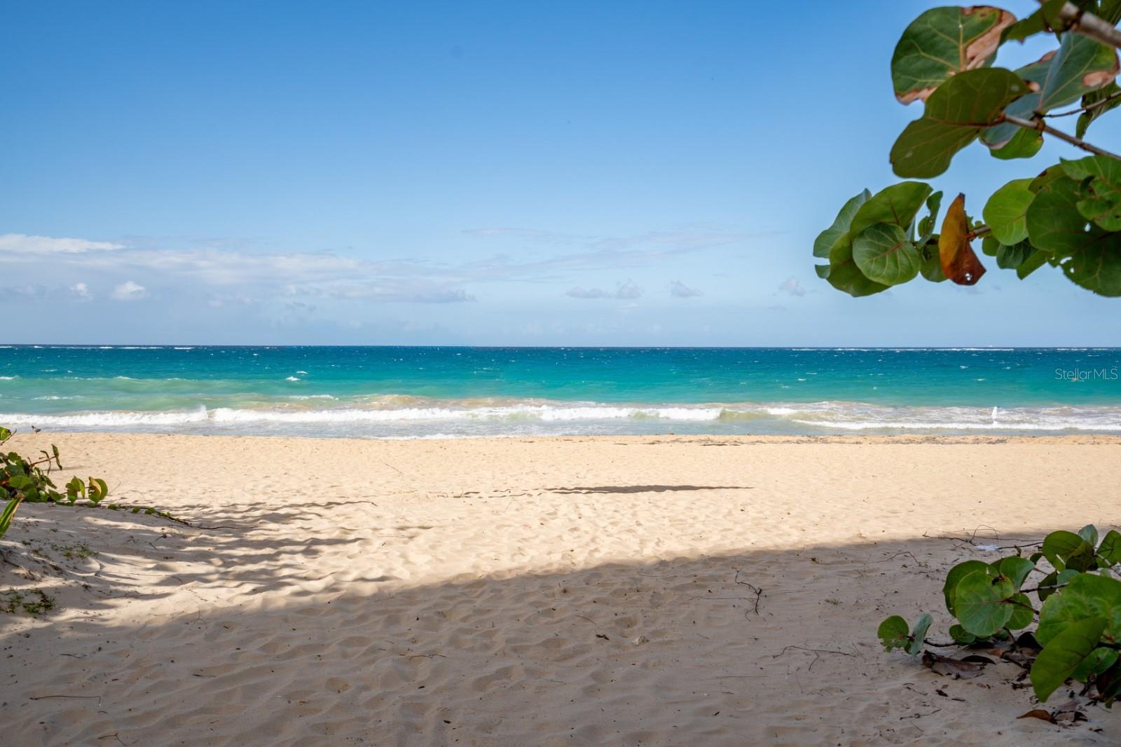 56 Calle F Krug Condado #5 Property Photo 21