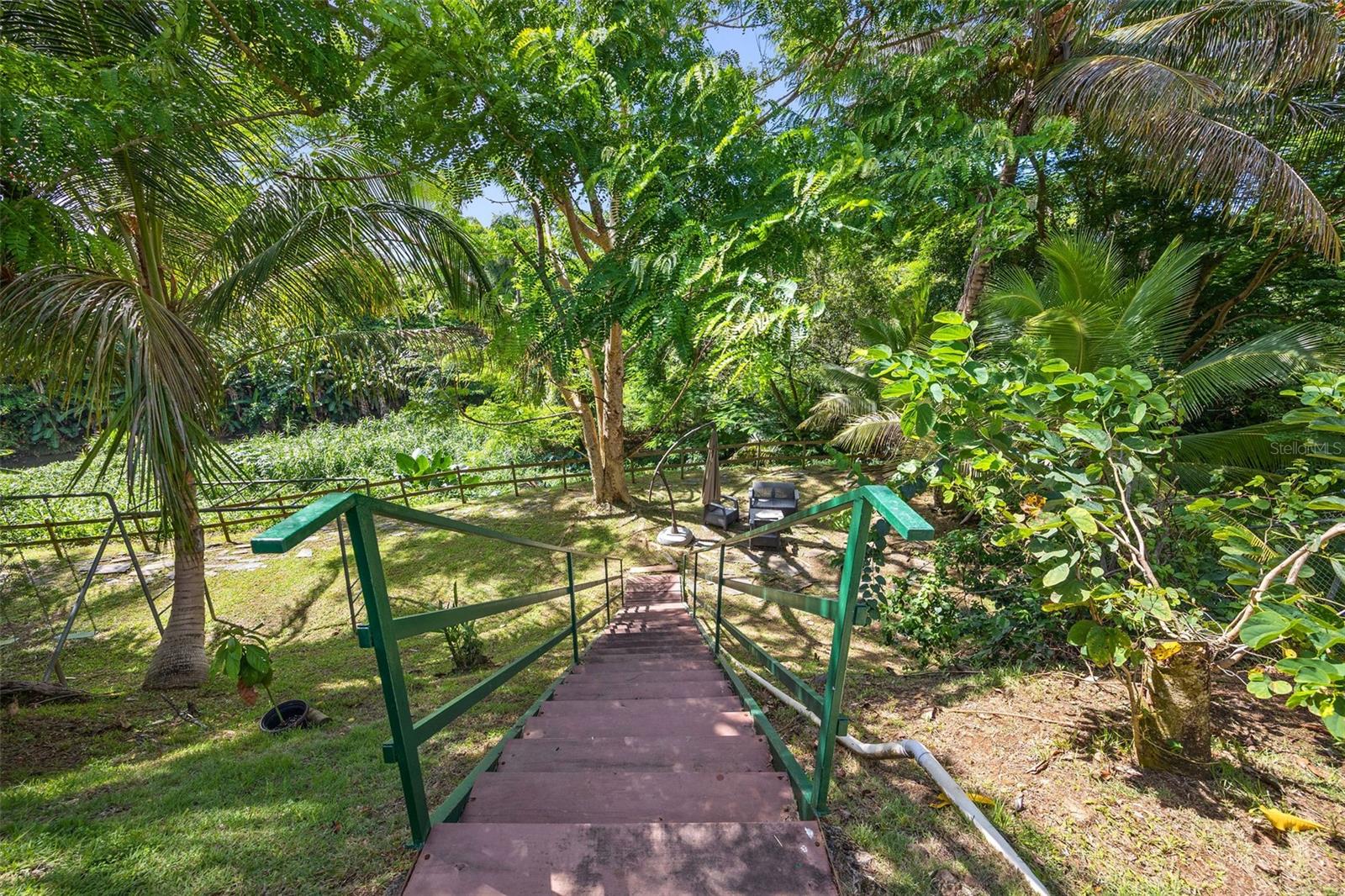 Palma Real Palma De Coco Property Photo 44