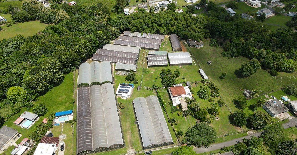 Carr. 137 Km 9.9 Bo. Franques Property Photo 2