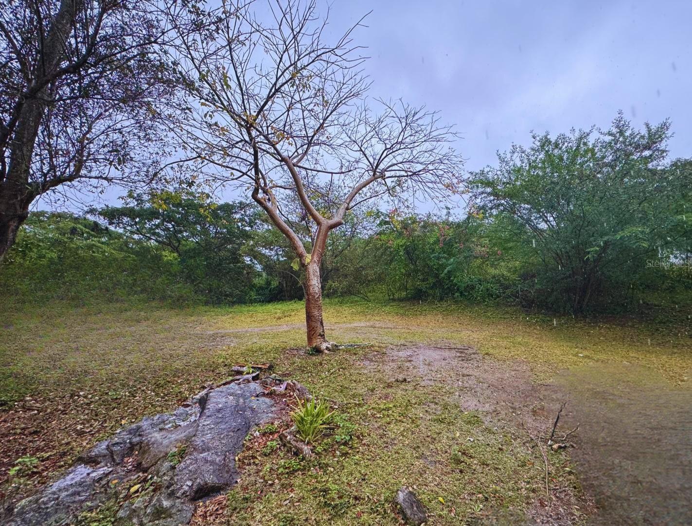Calle #10 Comm Monte Santo P-2 Property Photo 5