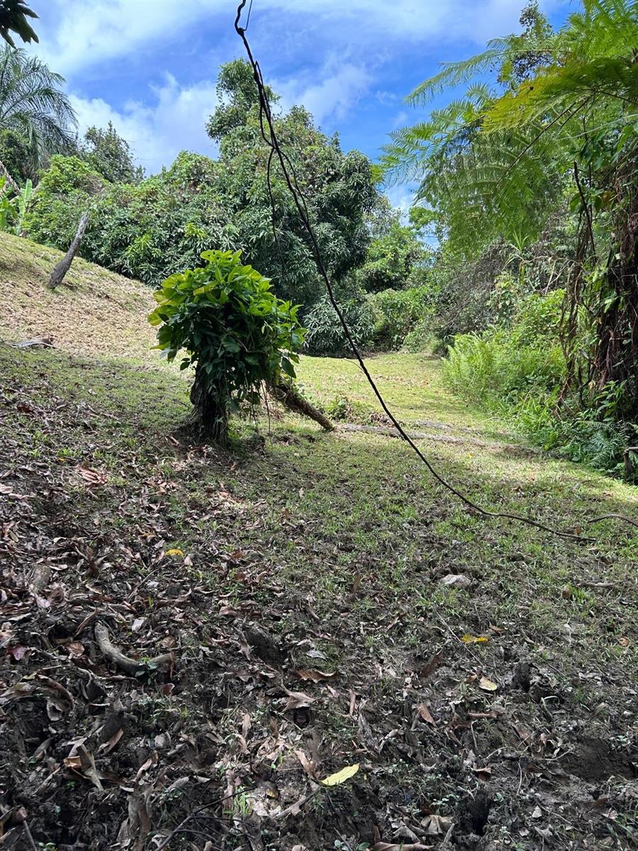 Pr 9989 Int Property Photo 2