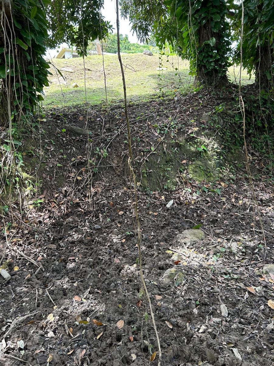 Pr 9989 Int Property Photo 3