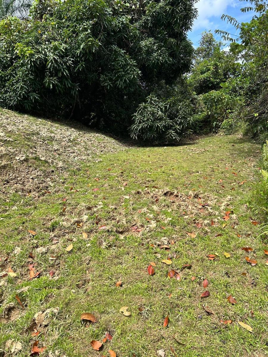 Pr 9989 Int Property Photo 4