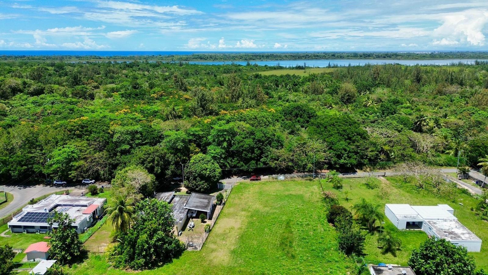 Bo Coto Norte, Sector Guayaney, Manati Property Photo 2