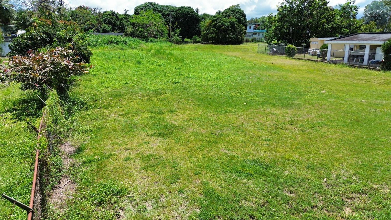 Bo Coto Norte, Sector Guayaney, Manati Property Photo 4