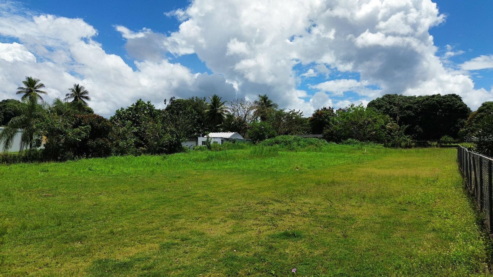 Bo Coto Norte, Sector Guayaney, Manati Property Photo 6