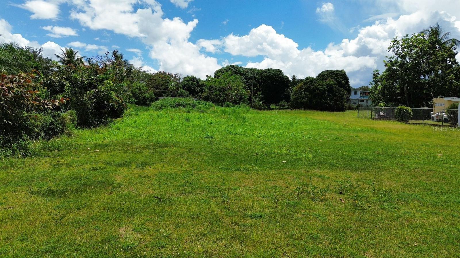 Bo Coto Norte, Sector Guayaney, Manati Property Photo 8