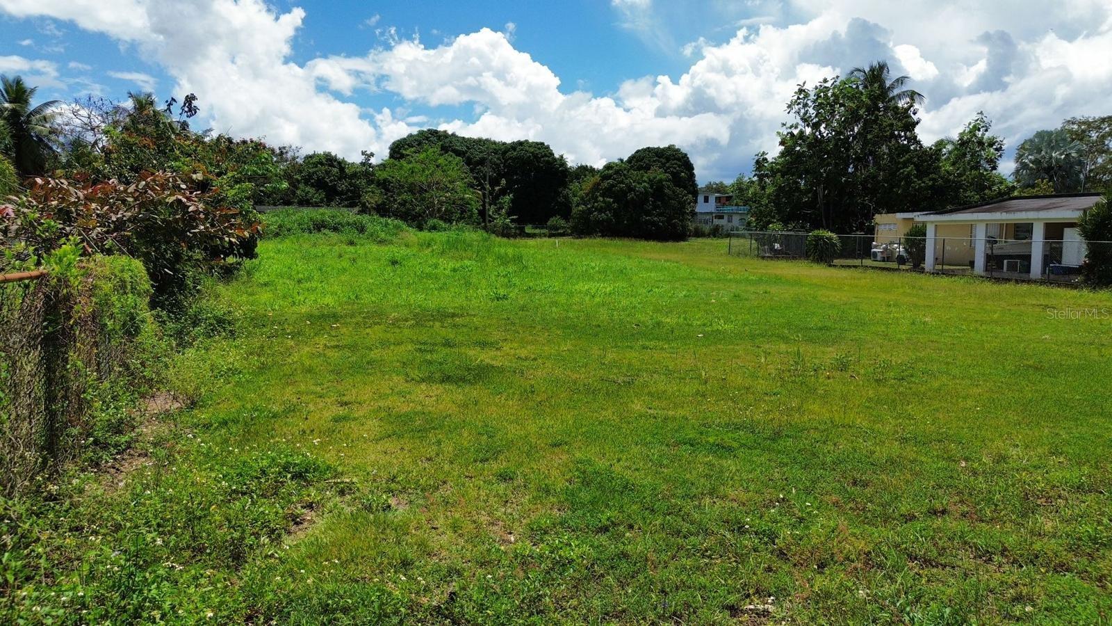 Bo Coto Norte, Sector Guayaney, Manati Property Photo 9