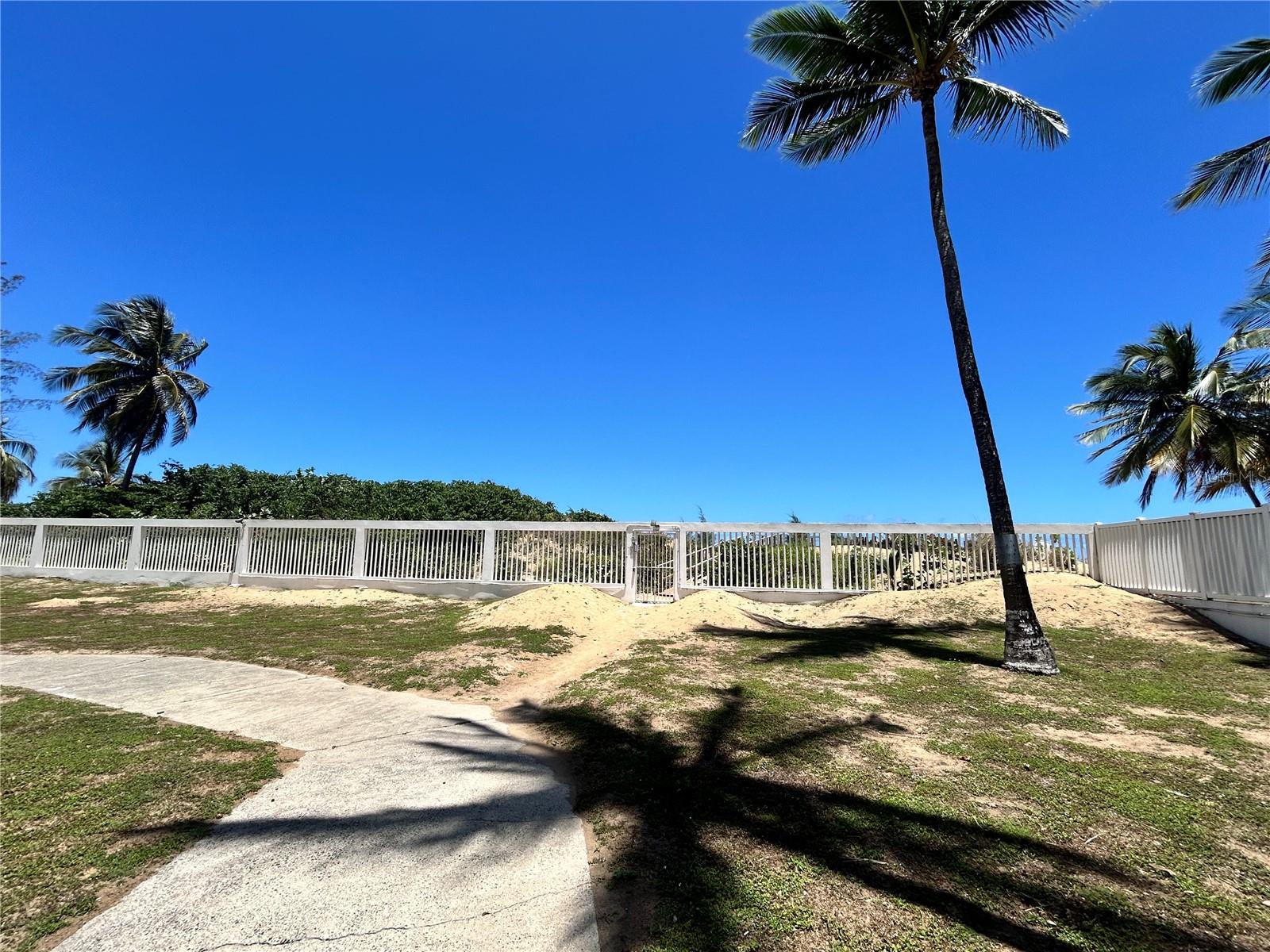 4837 Ave Isla Verde #607 Property Photo 23