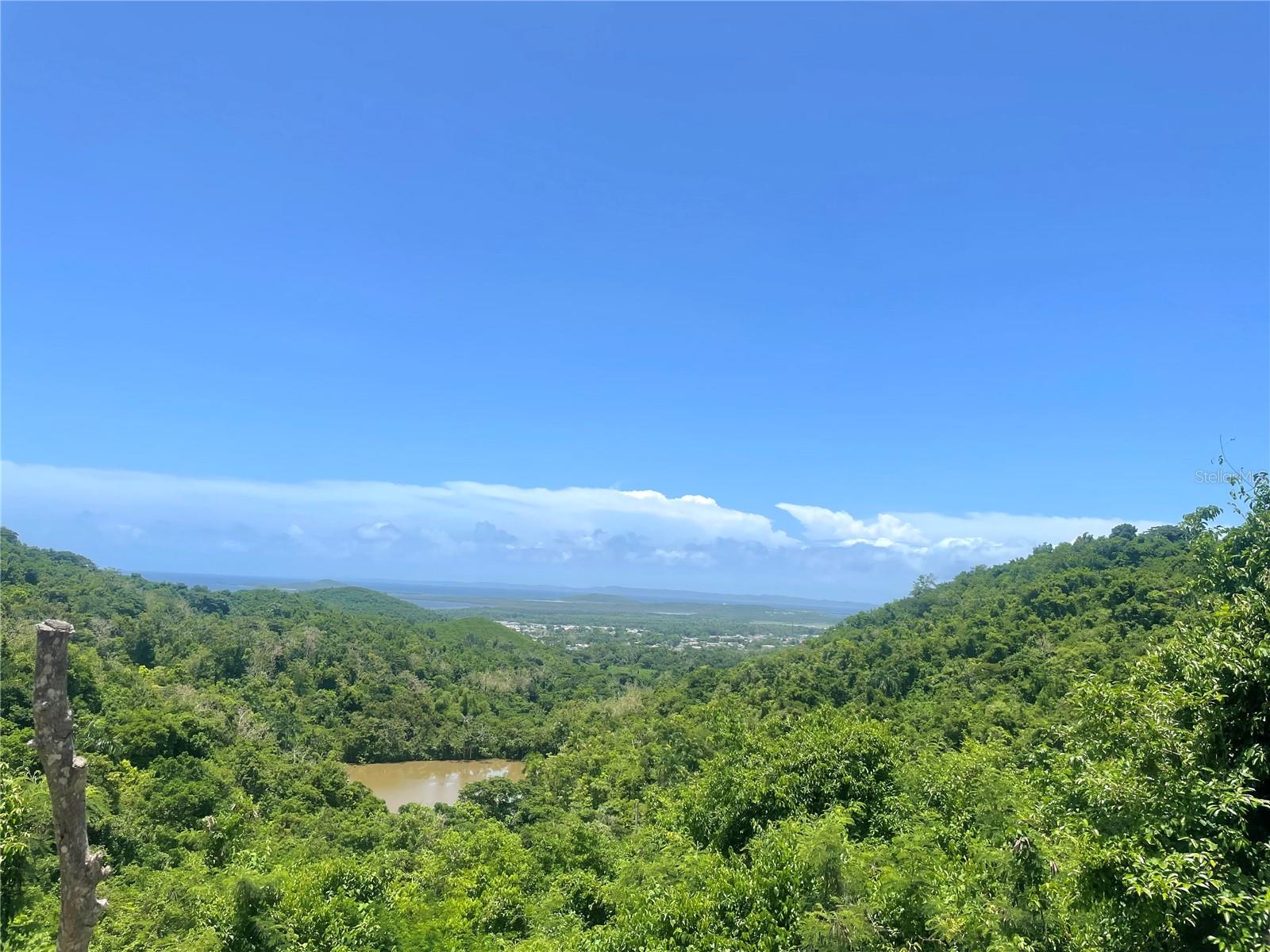 981 Property Photo 1