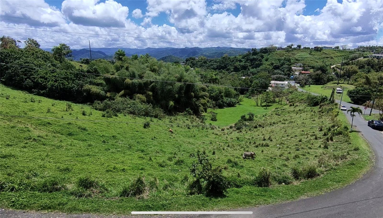 Pr 749 Km 0.2 Lot 3 Quebrada Grande Wd Property Photo 2