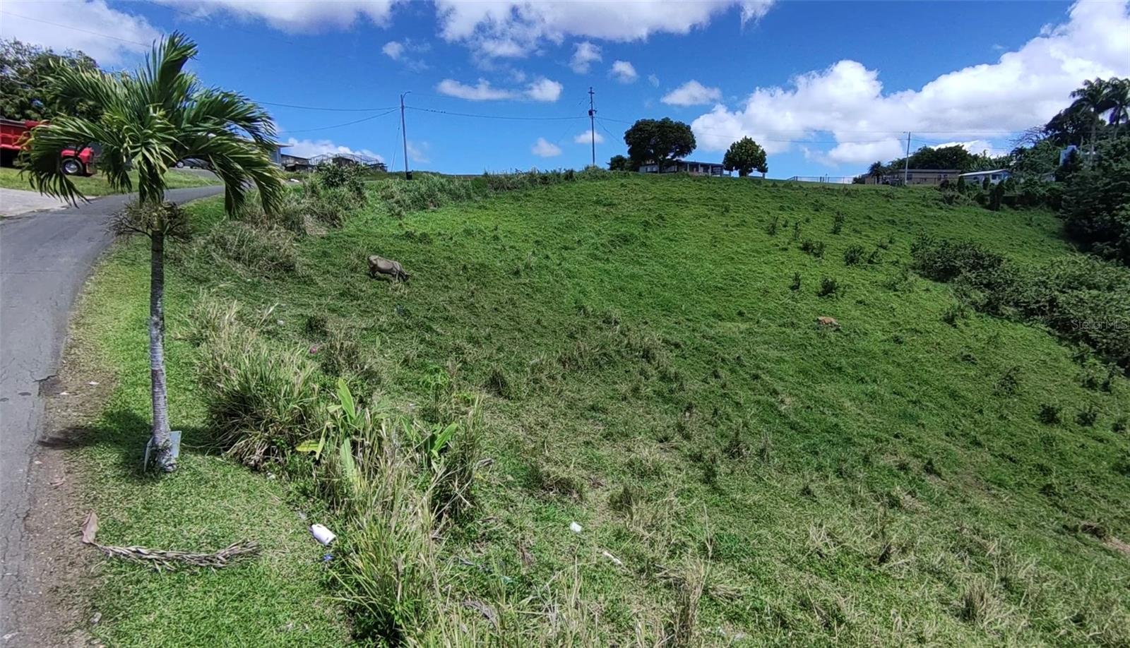 Pr 749 Km 0.2 Lot 3 Quebrada Grande Wd Property Photo 3