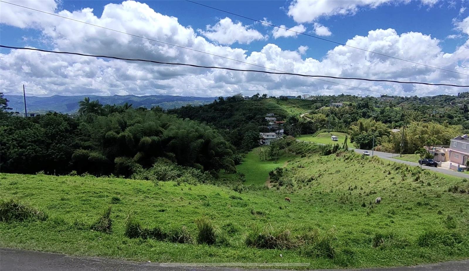 Pr 749 Km 0.2 Lot 3 Quebrada Grande Wd Property Photo 4