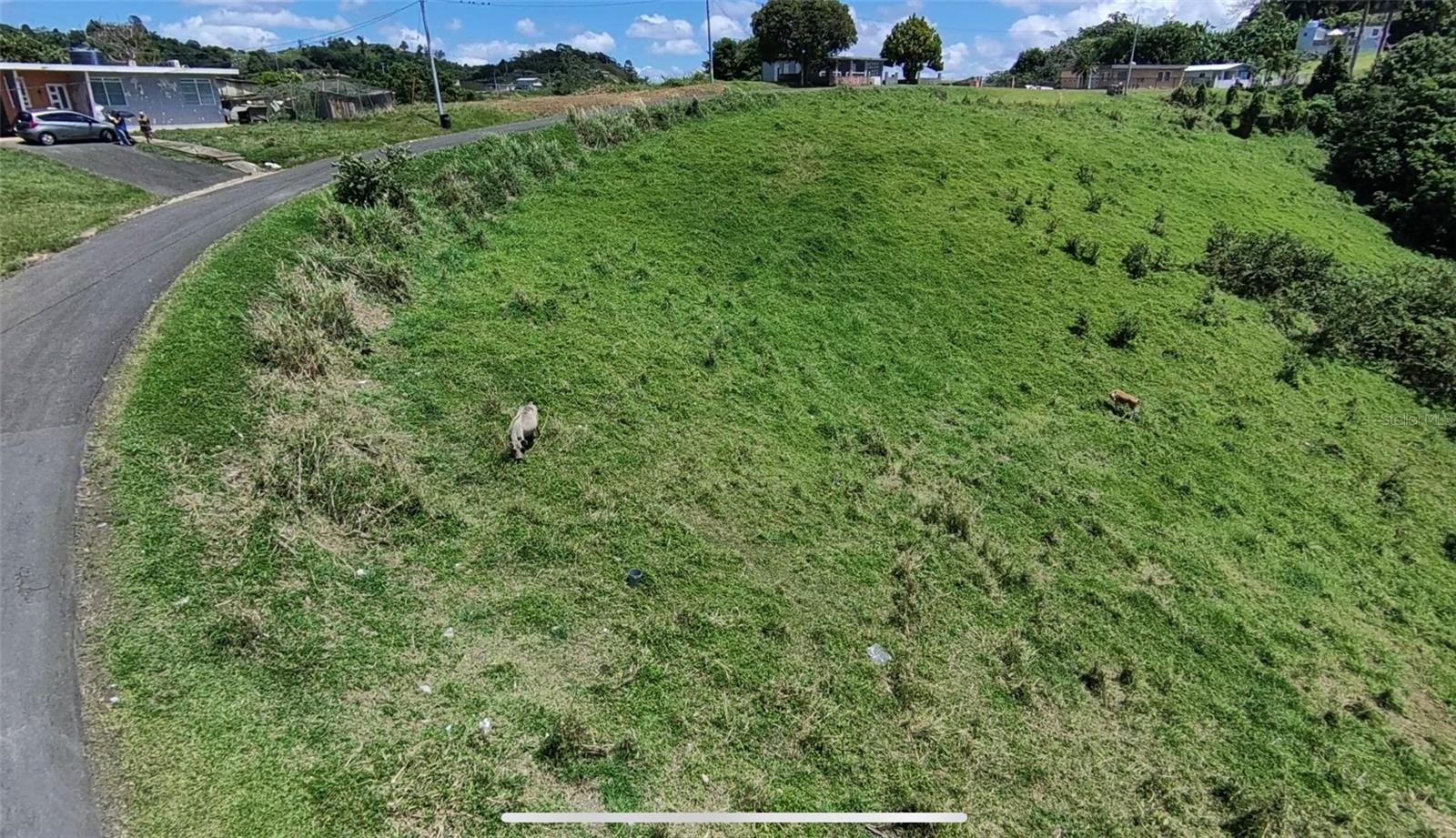 Pr 749 Km 0.2 Lot 3 Quebrada Grande Wd Property Photo 5