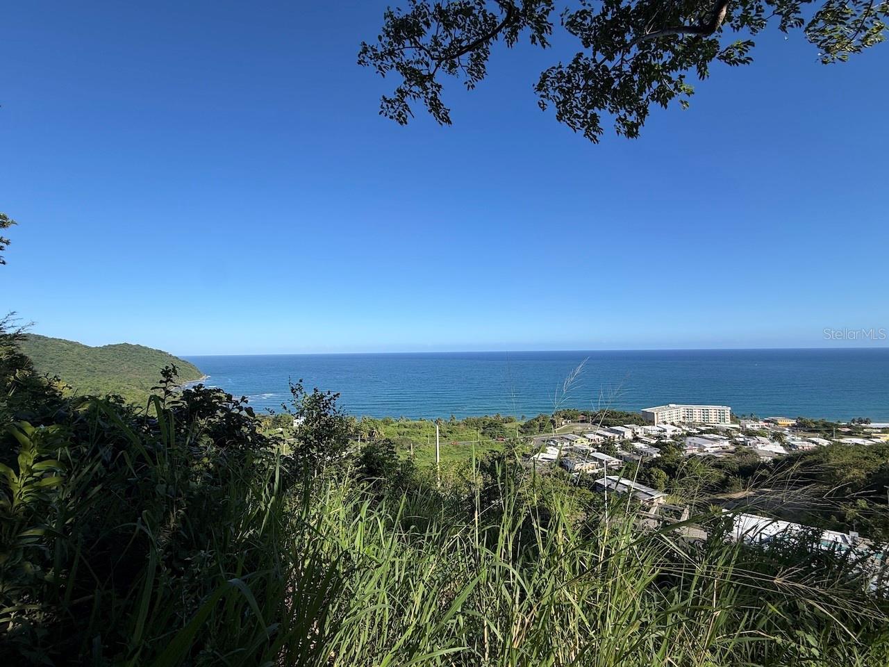 471 Calle 22 Bo. Mariani Property Photo 19