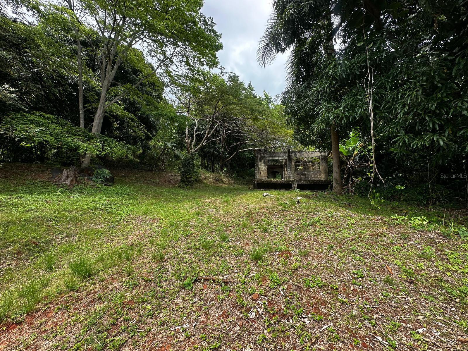 Pr-354 Km 6.4 Marini Community - Quemado Ward Property Photo 3