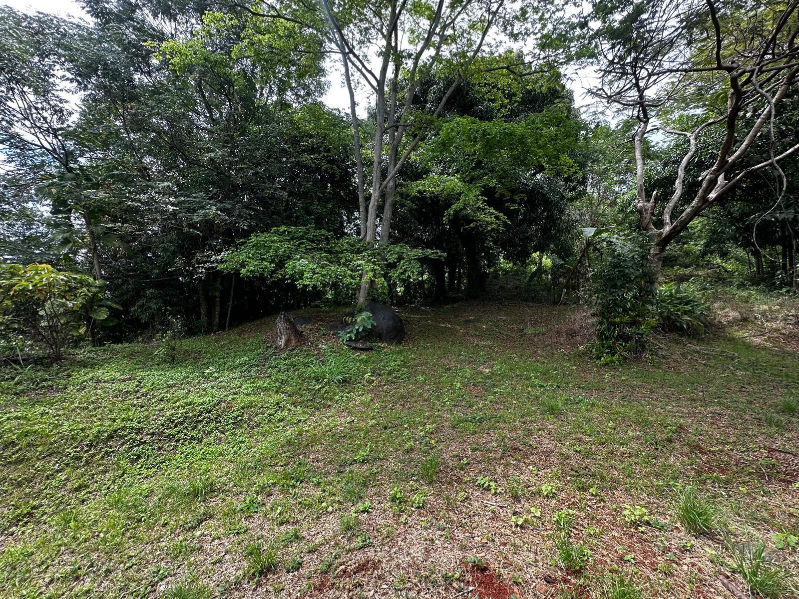 Pr-354 Km 6.4 Marini Community - Quemado Ward Property Photo 4