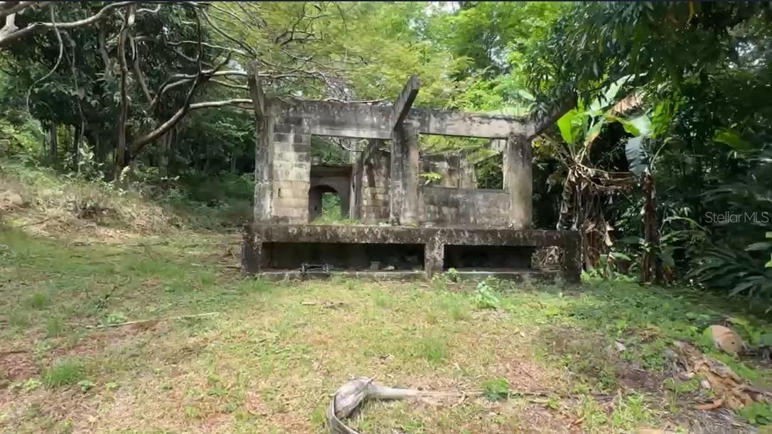 Pr-354 Km 6.4 Marini Community - Quemado Ward Property Photo 6