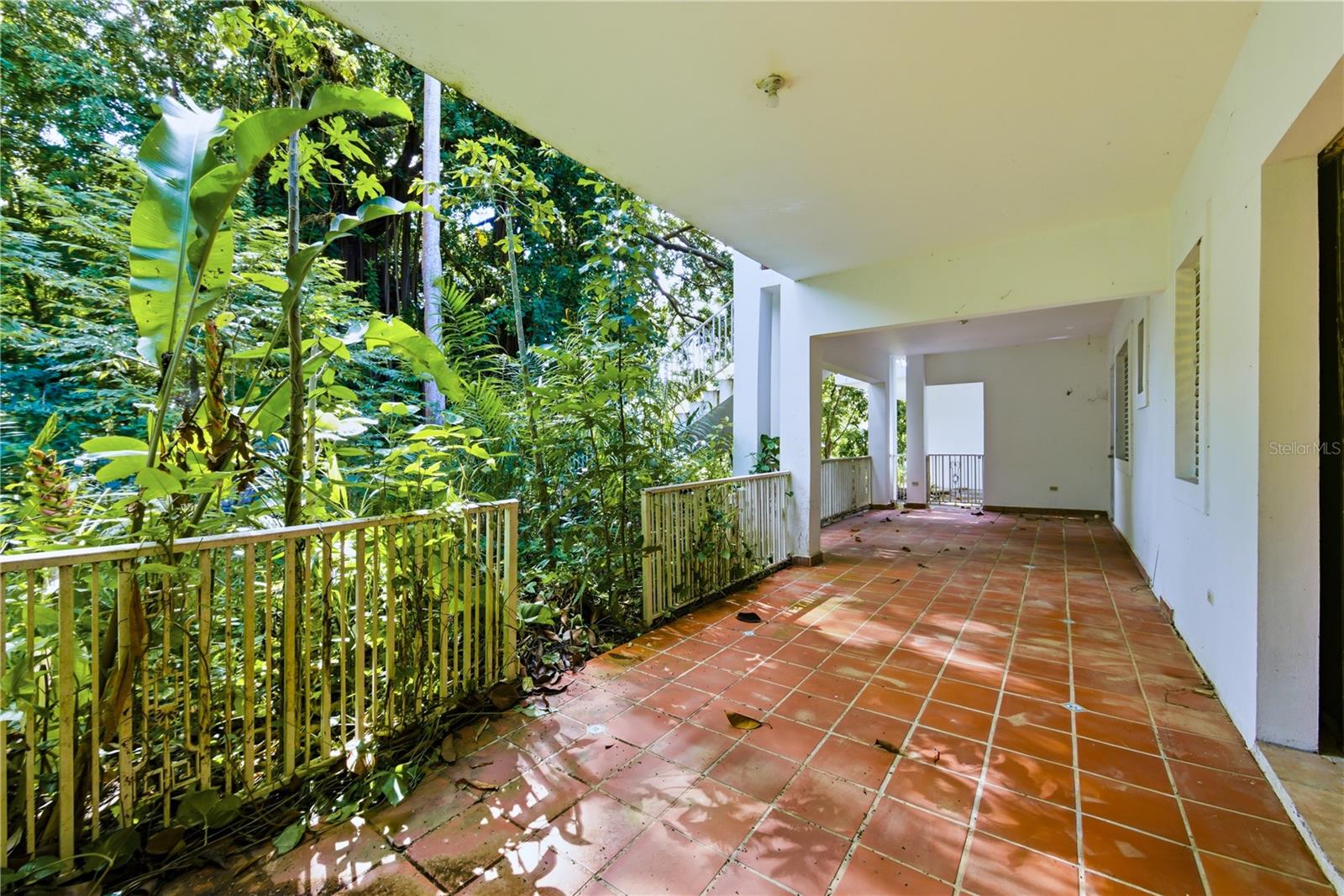 7 Vanda Property Photo 45