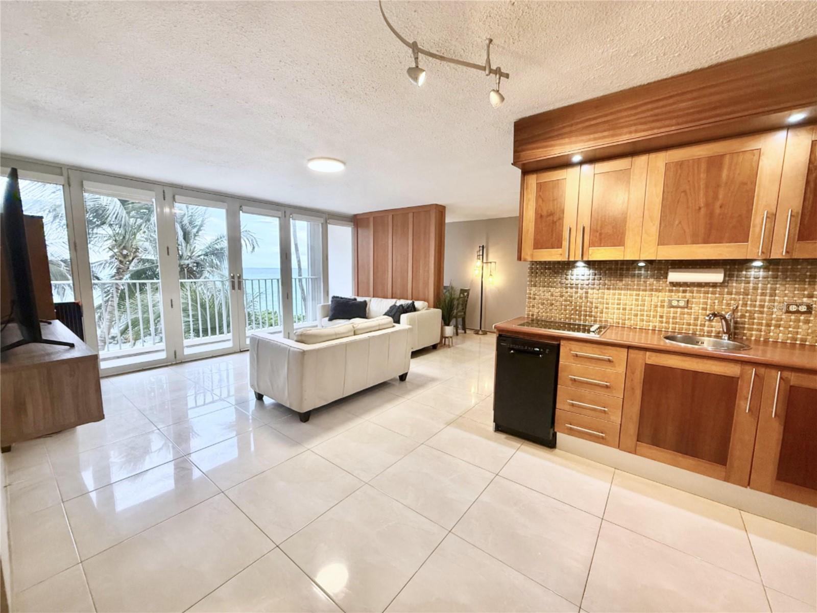 3103 Av. Isla Verde #306 Property Photo 11