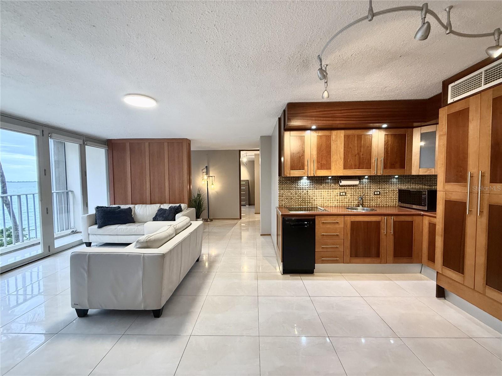 3103 Av. Isla Verde #306 Property Photo 15