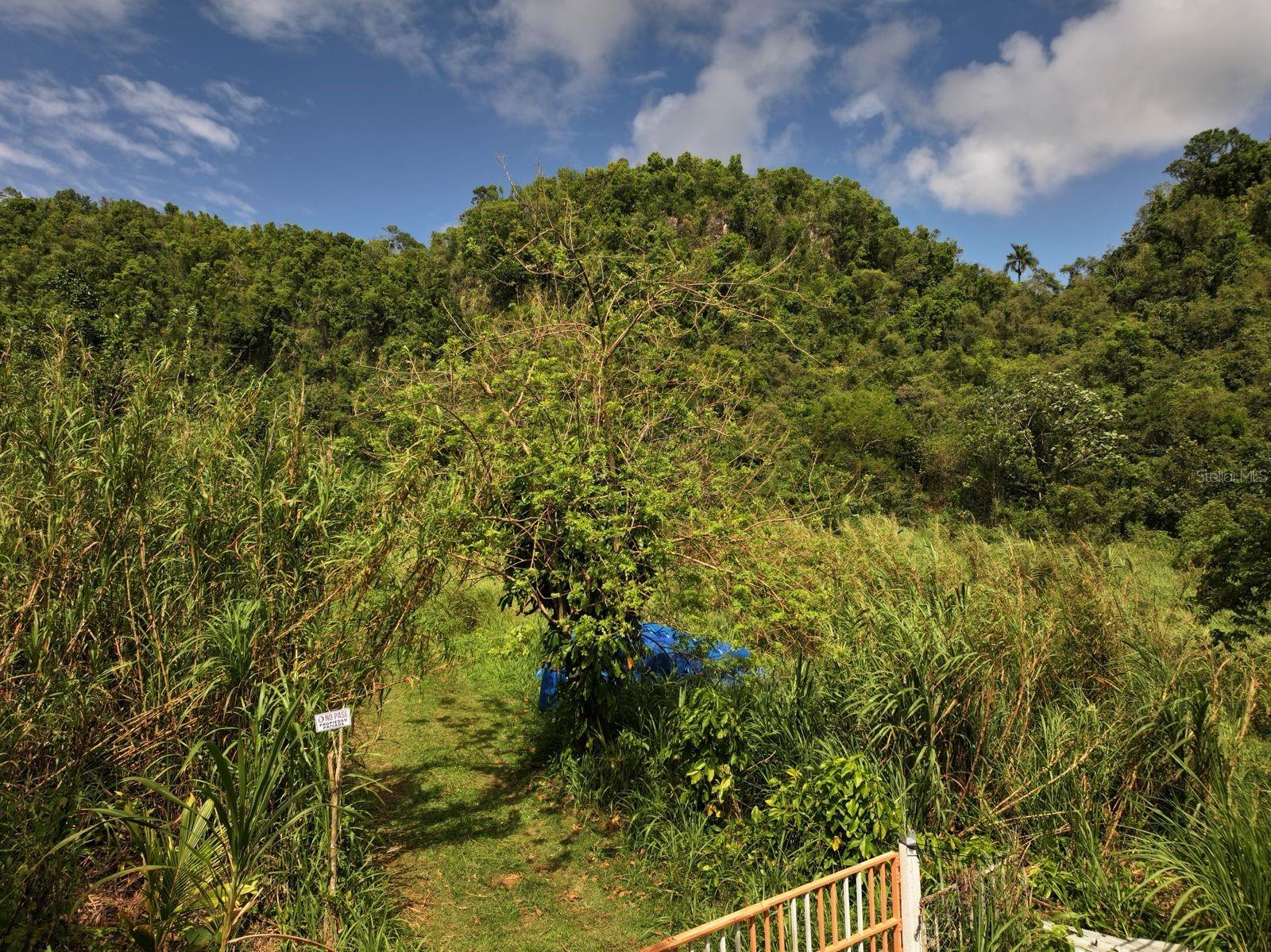 Carr 448 Property Photo 11