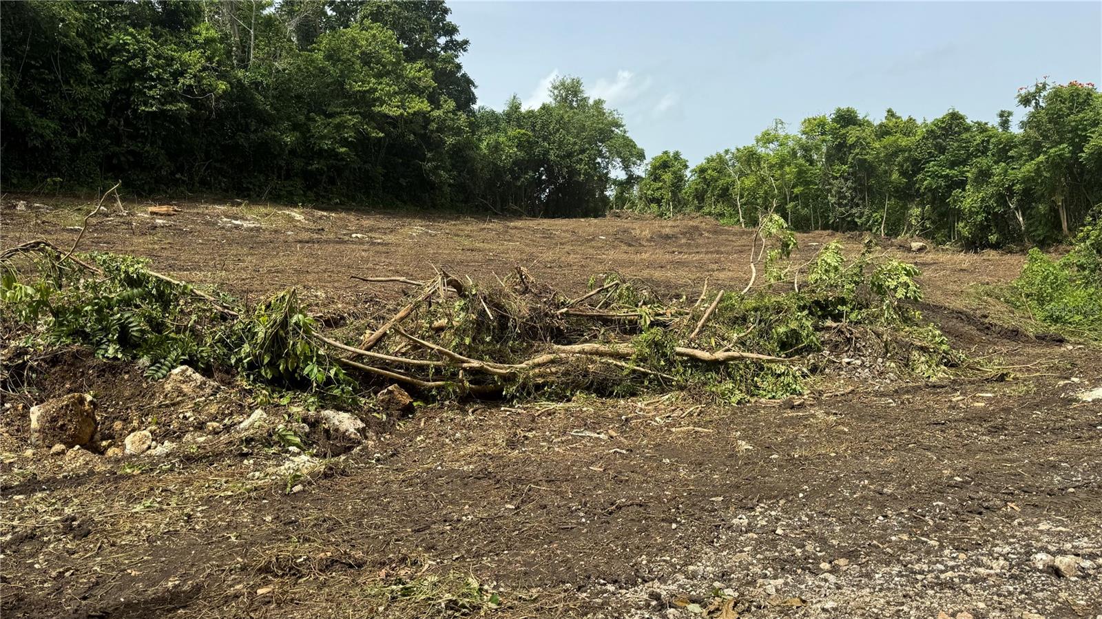 BO CIDRAL PR-111 Property Photo 1