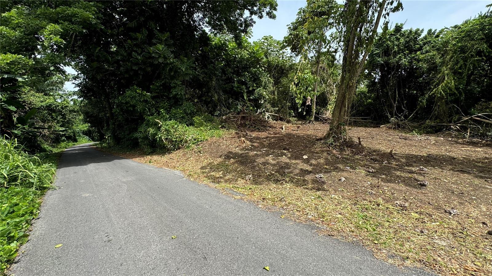 Bo Cidral Pr-111 Property Photo 2