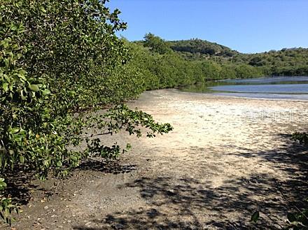 End Of Road Cam Playa Tamarindo Property Photo 12